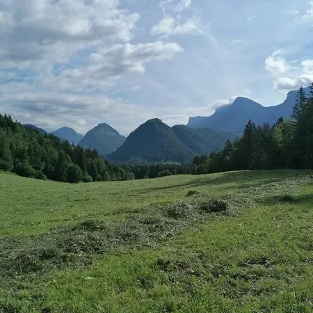 Ida Inkl Sommercard Lofer