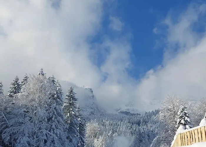 Ida Inkl Sommercard Lofer